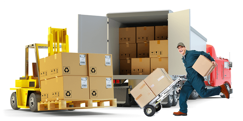 Contact Removalist